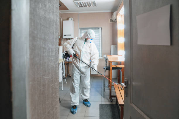 Environmental Consulting for Mold Prevention in Black Hammock, FL