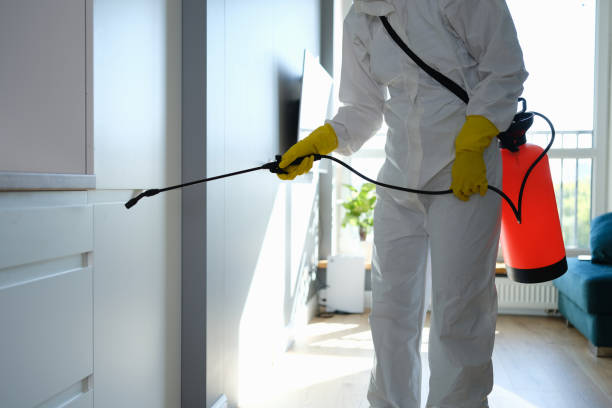 Mold Removal for HVAC Installations in Black Hammock, FL
