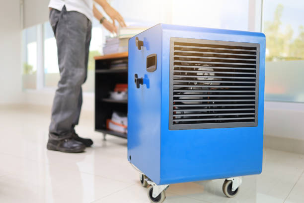 Best Mold Prevention Services  in Black Hammock, FL