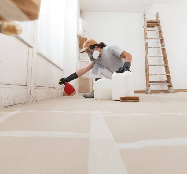 Best Real Estate Mold Inspection  in Black Hammock, FL